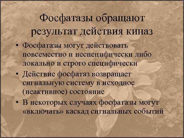 Фосфатазы обращают результат действия киназ • Фосфатазы могут действовать повсеместно и неспецифически либо локально