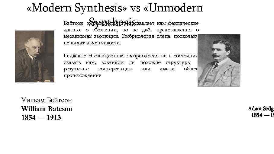  «Modern Synthesis» vs «Unmodern Бэйтсон: эмбриология предоставляет нам фактические Synthesis» даёт представления о