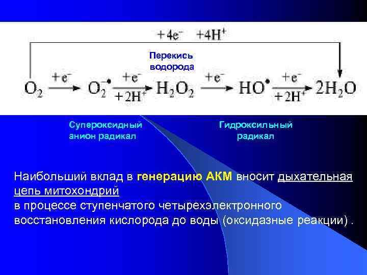 Восстановление кислорода. Реакция образования супероксид анион-радикала. Реакция образования супероксидного радикала. Активные формы кислорода: супероксидный анион. Супероксид анион радикал.