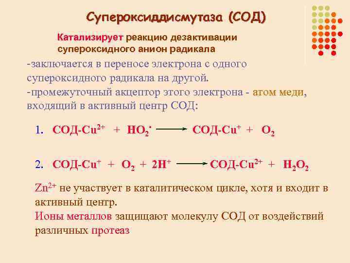 Супероксиддисмутаза (СОД) Катализирует реакцию дезактивации супероксидного анион радикала -заключается в переносе электрона с одного