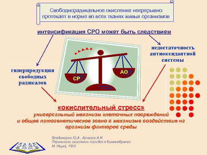 Свободнорадикальное окисление непрерывно протекает в норме во всех тканях живых организмов интенсификация СРО может