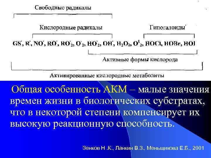 СР Общая особенность АКМ – малые значения времен жизни в биологических субстратах, что в