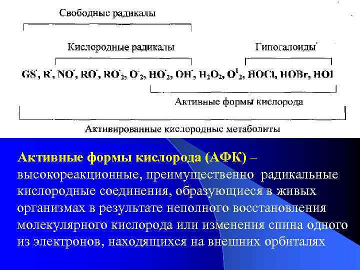 СР Активные формы кислорода (АФК) – высокореакционные, преимущественно радикальные кислородные соединения, образующиеся в живых