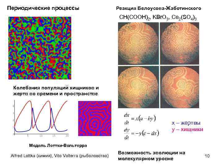 Периодический процесс. Реакция Белоусова-Жаботинского схема. Колебательная реакция Белоусова-Жаботинского. Реакция Белоусова Жаботинского диссипативные структуры. Периодические процессы.