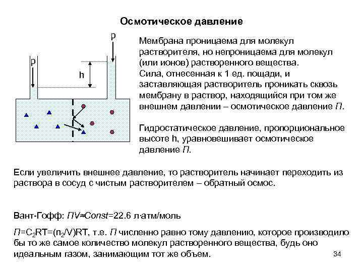 Осмотическое давление p p h Мембрана проницаема для молекул растворителя, но непроницаема для молекул