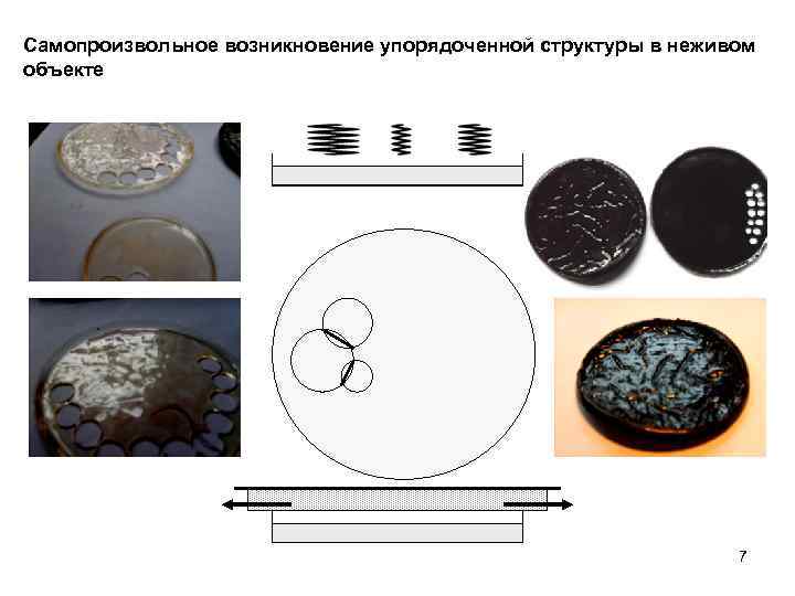 Самопроизвольное возникновение упорядоченной структуры в неживом объекте 7 