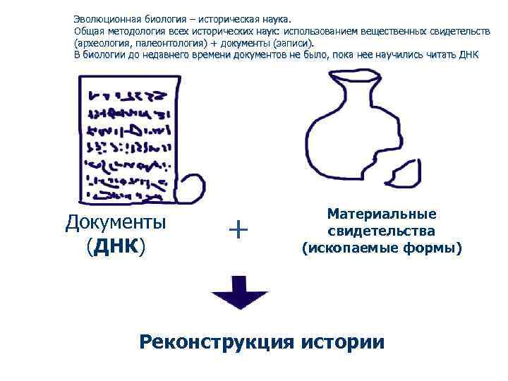 Эволюционная биология – историческая наука. Общая методология всех исторических наук: использованием вещественных свидетельств (археология,