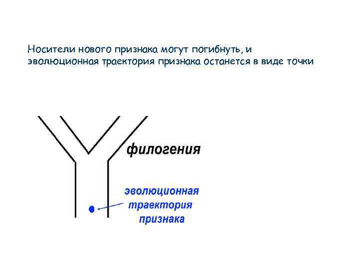 Носители нового признака могут погибнуть, и эволюционная траектория признака останется в виде точки 