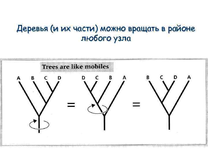 Деревья (и их части) можно вращать в районе любого узла 