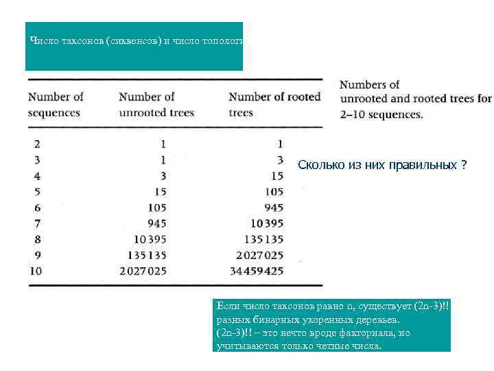 Число таксонов (сиквенсов) и число топологий, которые можно получить на их основе Сколько из