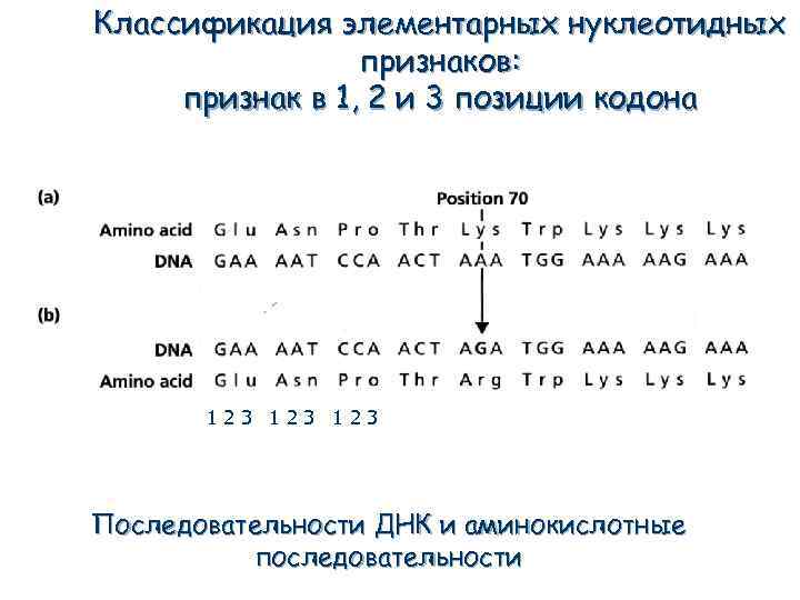 Классификация элементарных нуклеотидных признаков: признак в 1, 2 и 3 позиции кодона 123 123