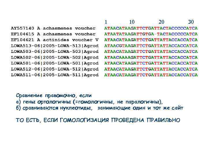 1 10 20 Сравнение правомочно, если а) гены ортологичны (=гомологичны, не паралогичны), б) сравниваются