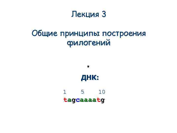 Лекция 3 Общие принципы построения филогений ДНК: 1 5 10 tagcaaaatg 