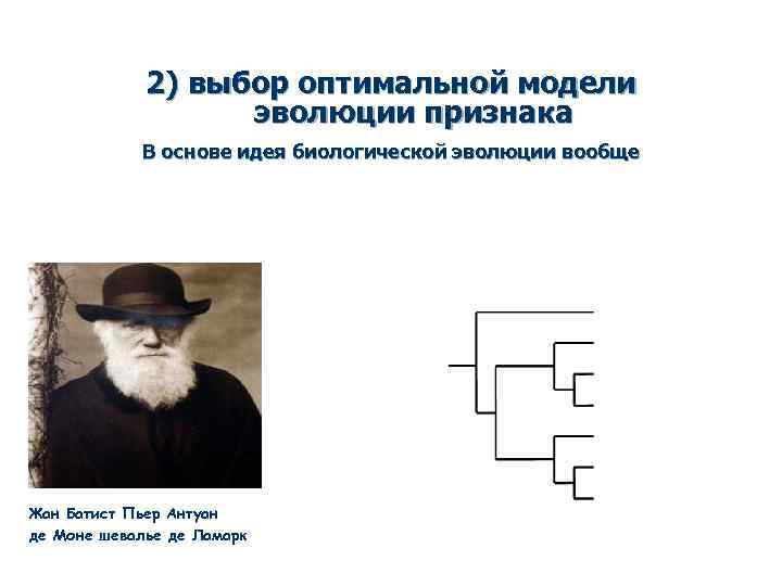 2) выбор оптимальной модели эволюции признака В основе идея биологической эволюции вообще Жан Батист