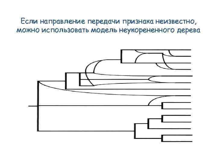 Если направление передачи признака неизвестно, можно использовать модель неукорененного дерева 