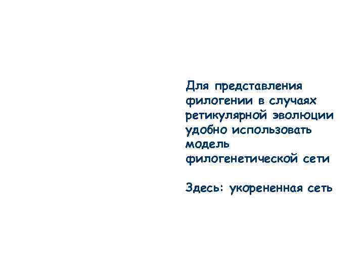 Для представления филогении в случаях ретикулярной эволюции удобно использовать модель филогенетической сети Здесь: укорененная