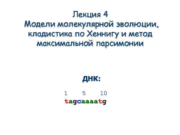 Лекция 4 Модели молекулярной эволюции, кладистика по Хеннигу и метод максимальной парсимонии ДНК: 1