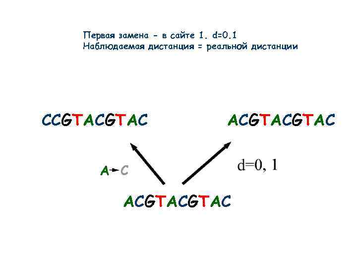 Первая замена - в сайте 1. d=0. 1 Наблюдаемая дистанция = реальной дистанции CCGTACGTAC