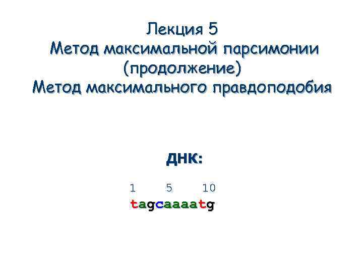 Лекция 5 Метод максимальной парсимонии (продолжение) Метод максимального правдоподобия ДНК: 1 5 10 tagcaaaatg