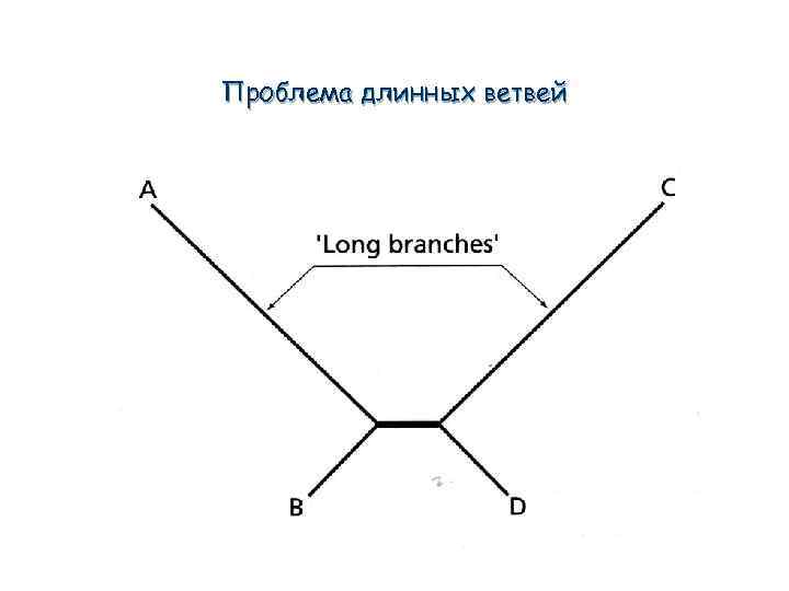 Проблема длинных ветвей 