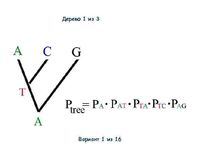 Дерево 1 из 3 Вариант 1 из 16 