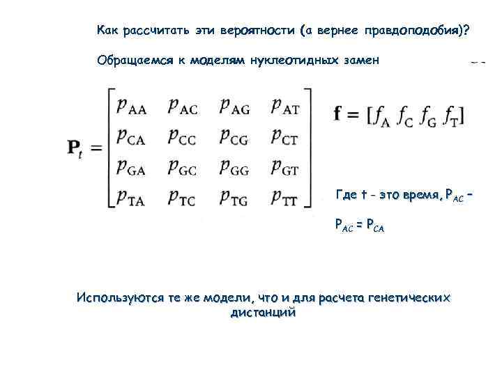 Как рассчитать эти вероятности (а вернее правдоподобия)? Обращаемся к моделям нуклеотидных замен Где t