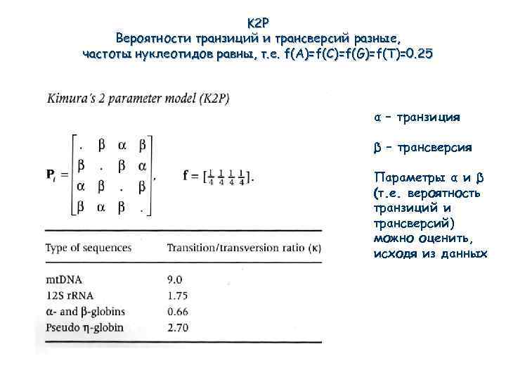 K 2 P Вероятности транзиций и трансверсий разные, частоты нуклеотидов равны, т. е. f(A)=f(C)=f(G)=f(T)=0.