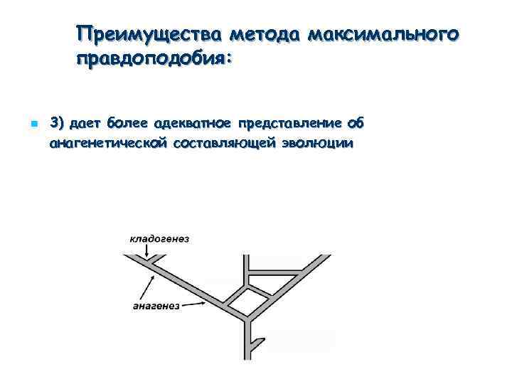 Преимущества метода максимального правдоподобия: n 3) дает более адекватное представление об анагенетической составляющей эволюции