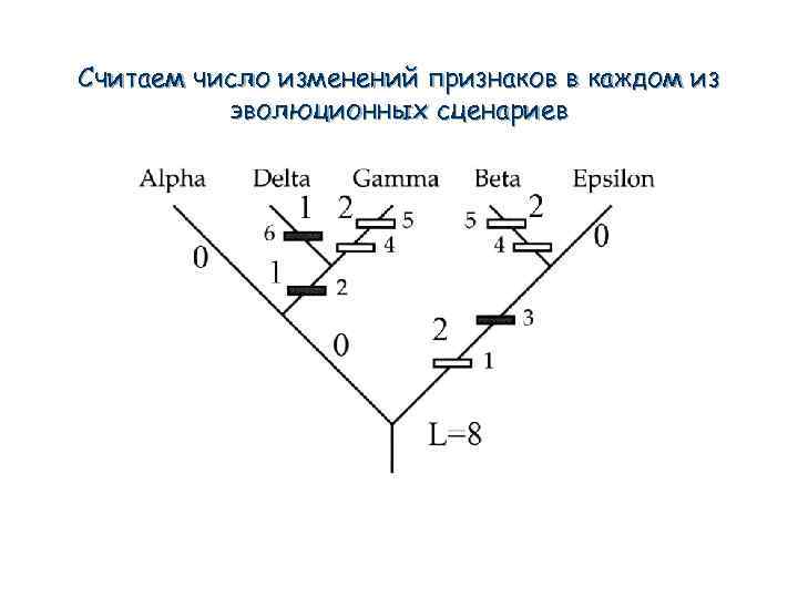Считаем число изменений признаков в каждом из эволюционных сценариев 