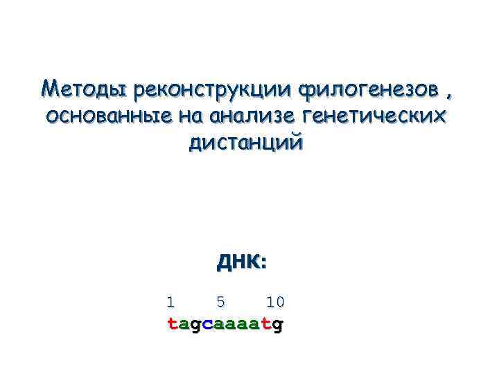 Методы реконструкции филогенезов , основанные на анализе генетических дистанций ДНК: 1 5 10 tagcaaaatg