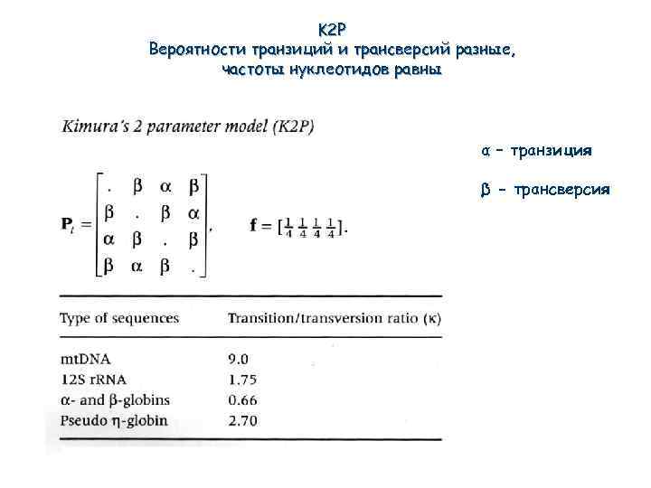 K 2 P Вероятности транзиций и трансверсий разные, частоты нуклеотидов равны α – транзиция