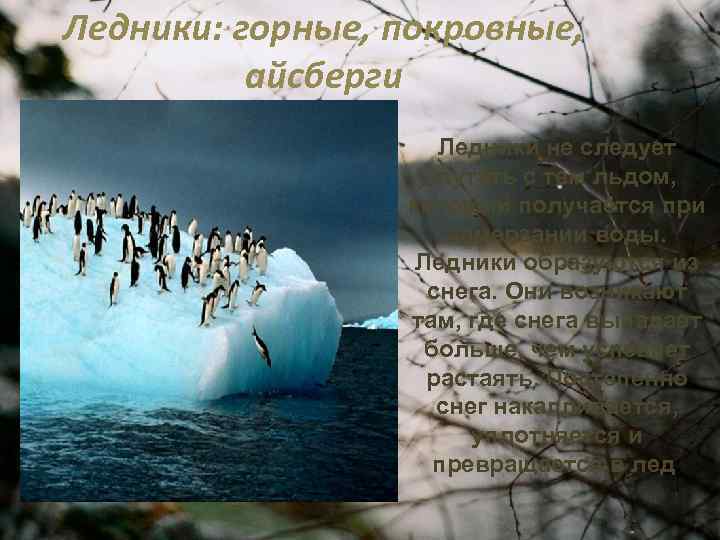 Ледники: горные, покровные, айсберги Ледники не следует путать с тем льдом, который получается при