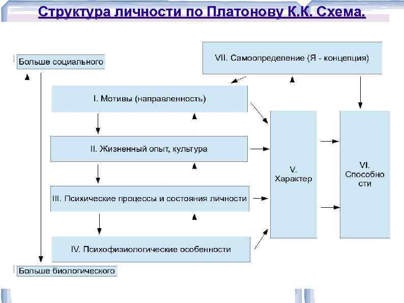 Структура личности платонов схема