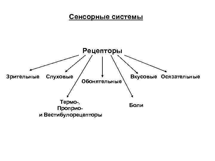 Общая схема сенсорной системы