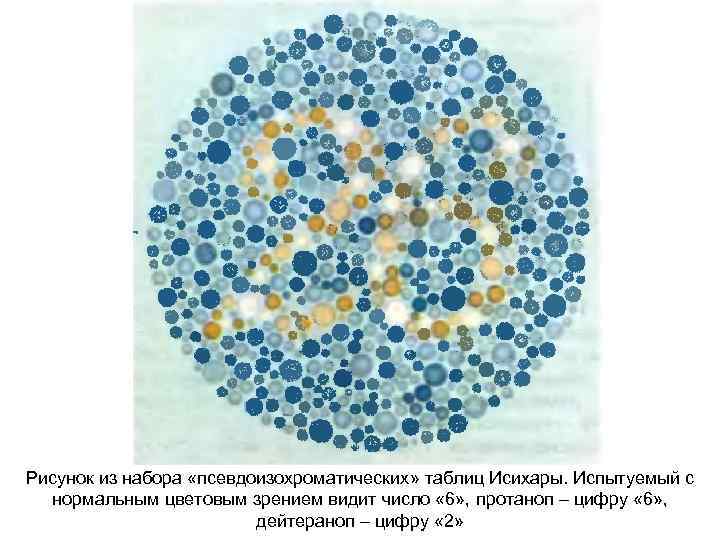 Рисунок из набора «псевдоизохроматических» таблиц Исихары. Испытуемый с нормальным цветовым зрением видит число «
