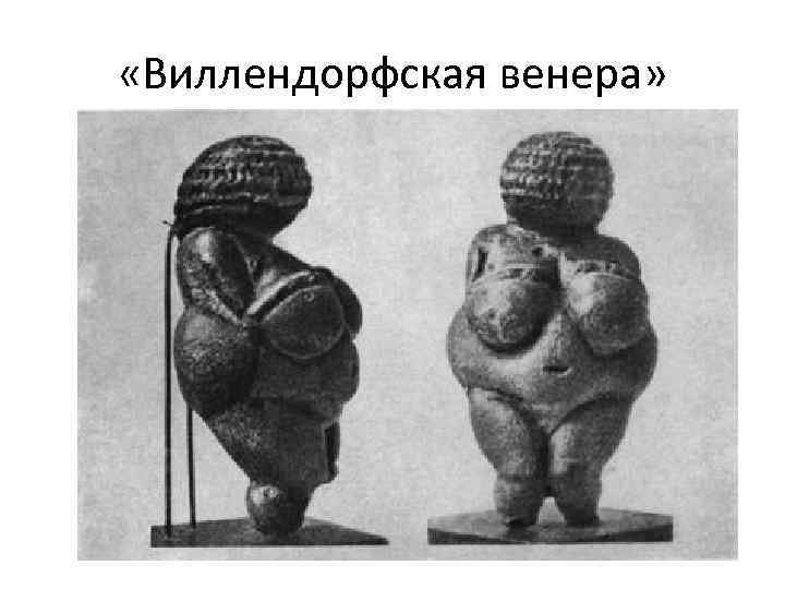  «Виллендорфская венера» 