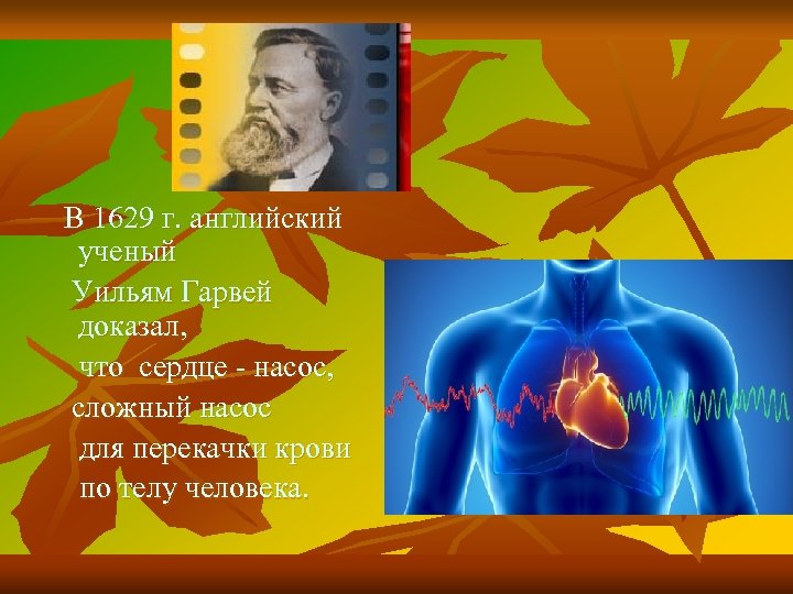 В 1629 г. английский ученый Уильям Гарвей доказал, что сердце - насос, сложный насос