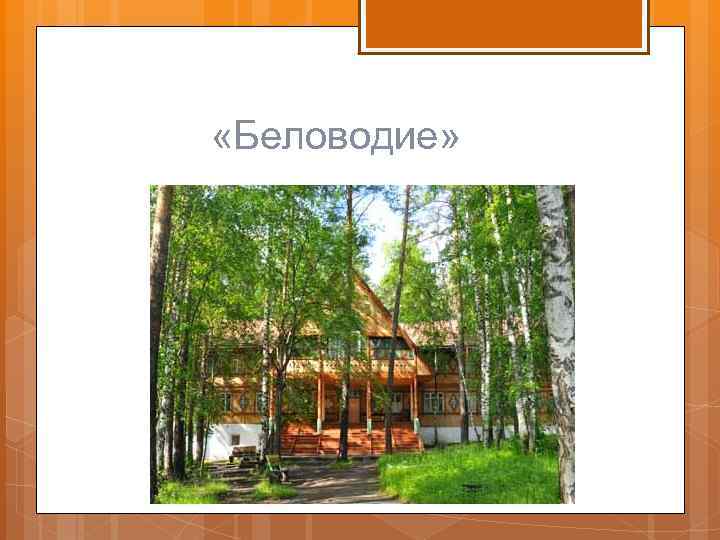  «Беловодие» 