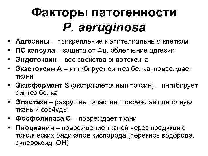 Факторы патогенности P. aeruginosa • • Адгезины – прикрепление к эпителиальным клеткам ПС капсула