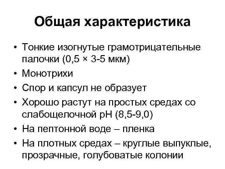 Общая характеристика • Тонкие изогнутые грамотрицательные палочки (0, 5 × 3 -5 мкм) •