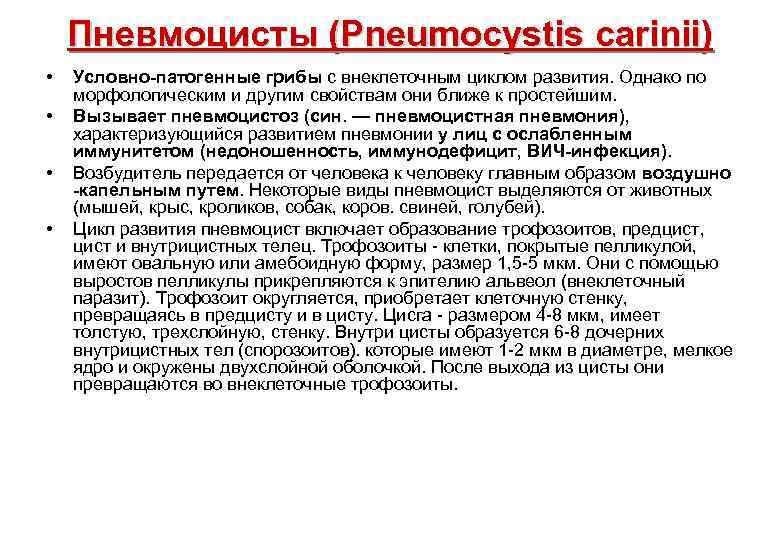 Пневмоцисты (Pneumocystis carinii) • • Условно-патогенные грибы с внеклеточным циклом развития. Однако по морфологическим