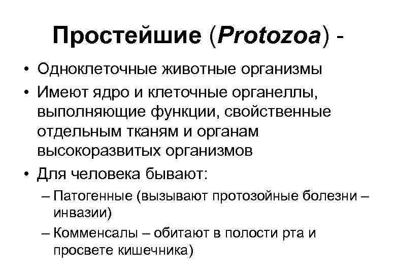 Простейшие (Protozoa) • Одноклеточные животные организмы • Имеют ядро и клеточные органеллы, выполняющие функции,