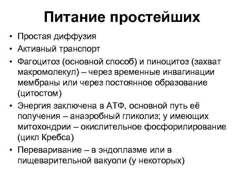 Питание простейших • Простая диффузия • Активный транспорт • Фагоцитоз (основной способ) и пиноцитоз
