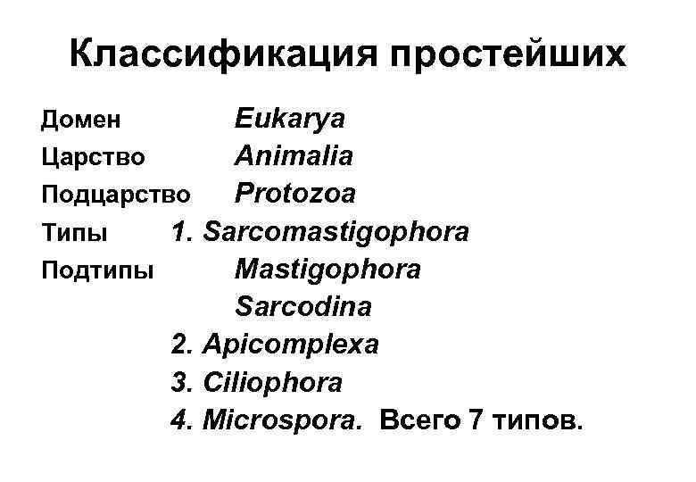 Систематика простейших схема