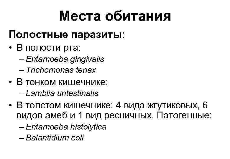 Места обитания Полостные паразиты: • В полости рта: – Entamoeba gingivalis – Trichomonas tenax