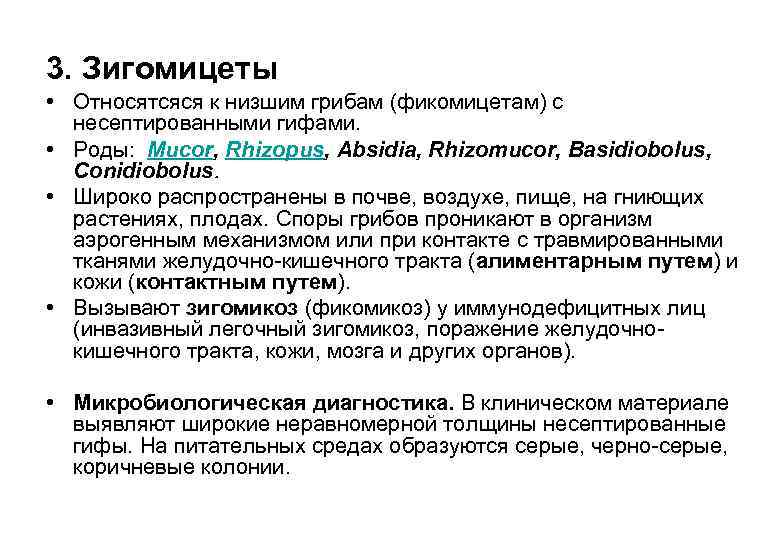 3. Зигомицеты • Относятсяся к низшим грибам (фикомицетам) с несептированными гифами. • Роды: Mucor,