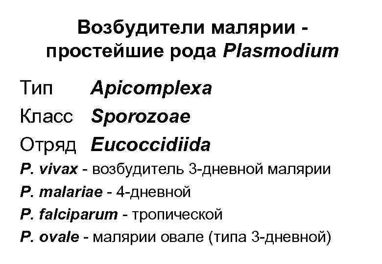 Возбудители малярии простейшие рода Plasmodium Тип Apicomplexa Класс Sporozoae Отряд Eucoccidiida P. vivax -