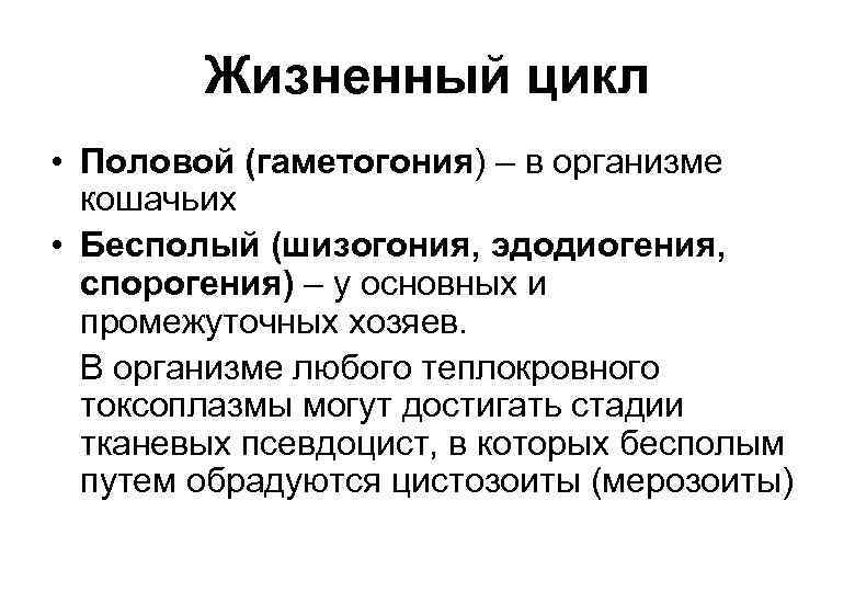 Жизненный цикл • Половой (гаметогония) – в организме кошачьих • Бесполый (шизогония, эдодиогения, спорогения)
