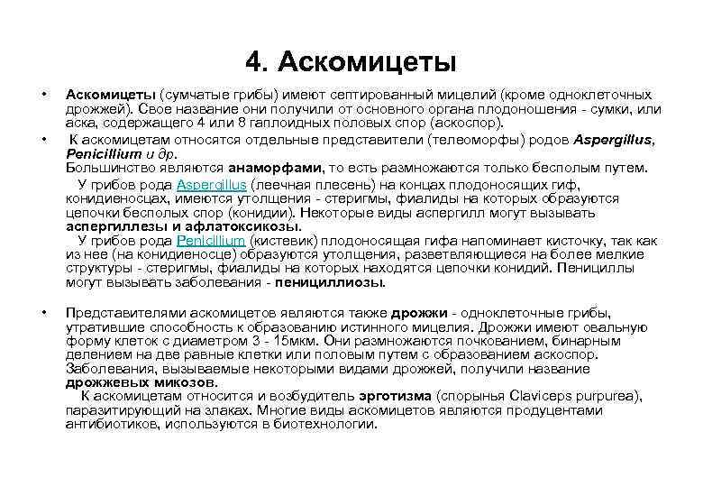 4. Аскомицеты • • • Аскомицеты (сумчатые грибы) имеют септированный мицелий (кроме одноклеточных дрожжей).