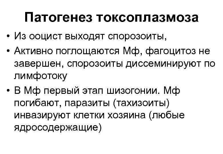 Патогенез токсоплазмоза • Из ооцист выходят спорозоиты, • Активно поглощаются Мф, фагоцитоз не завершен,